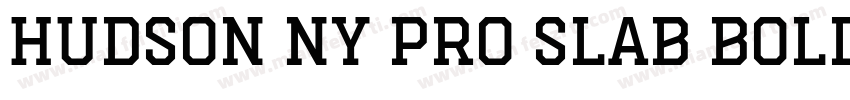 Hudson NY Pro Slab Bold字体转换